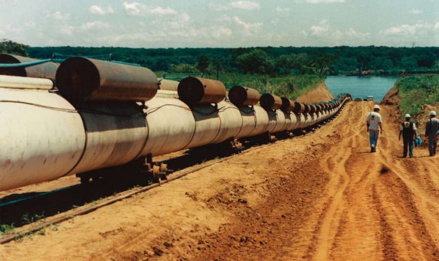 Основы госрегулирования газовой отрасли Бразилии